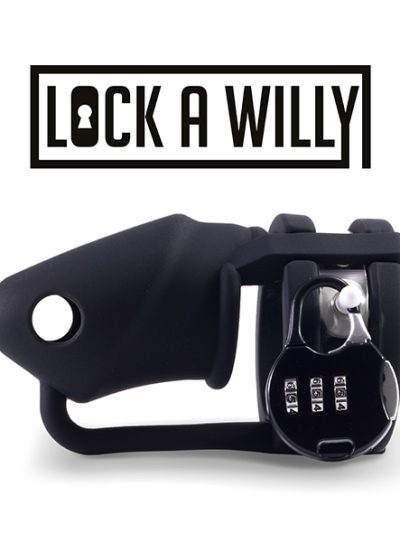 E28340 400x533 - Lock-a-Willy